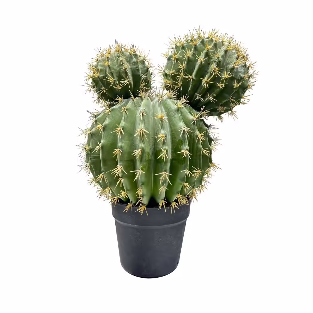 Plante artificielle faux Cactus - 41 cm / 55 cm