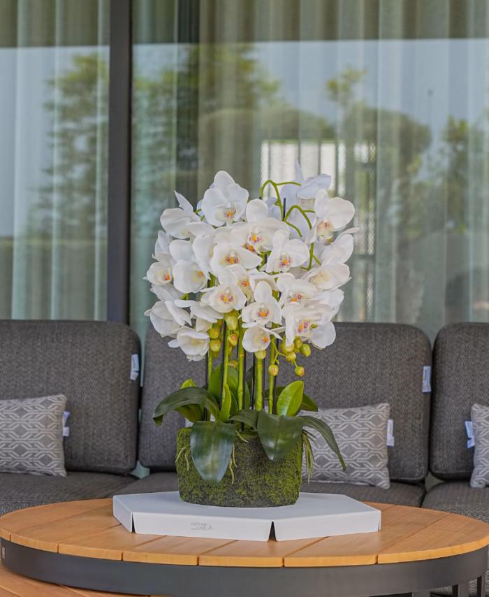 Orchidee artificielle 65 cm - Plante Artificielle